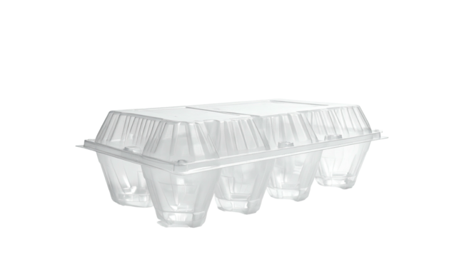 Clear plastic egg carton, six sections visible, against a stark black background