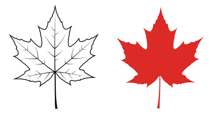 Two maple leaves one outlined in black the other colored red