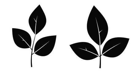 Simple black and white illustration of two leafy branches with detailed veins