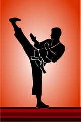 Silhouette of a karateka performing a high kick. v56.eps