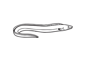 Silhouette of an eel fish vector illustration isolated on white background.