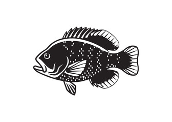 Freshwater bass fish vector silhouette, black aquatic animal design.