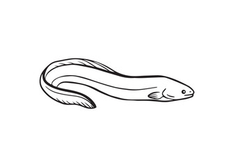 Obraz premium Silhouette of an eel fish vector illustration isolated on white background.