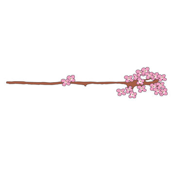 Mandelbl&uuml;te