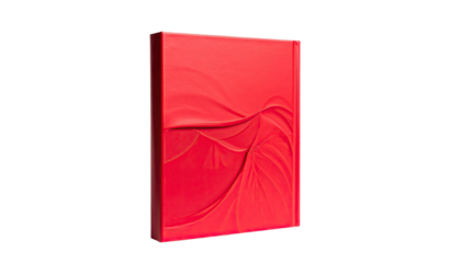 Red embossed abstract pattern on a rectangular canvas, isolated against a black backdrop