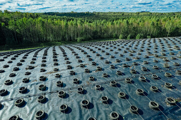 A sealed landfill covered with geomembrane sheets and secured tires, surrounded by forest, designed to prevent pollution and protect the environment from waste contamination