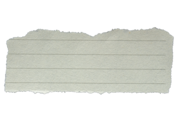 Piece of ripped torn lined paper on transparent background, paper cut out design element