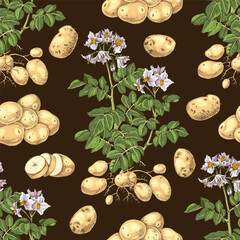 Potato sketched seamless pattern vector