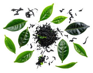 Black tea leaves surrounded by fresh green tea leaves