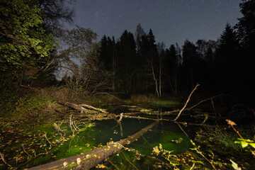 The mysterious green waters of Saula Siniallikad, a sacred ancient spring, under a starry night sky in Estonia.