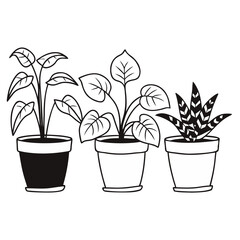 Obraz premium flower in pot