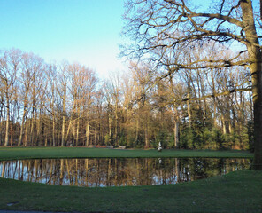 Autumn in the park. Nature backdrop. Beautiful natural flyer, card design. Nature Template for presentation or product