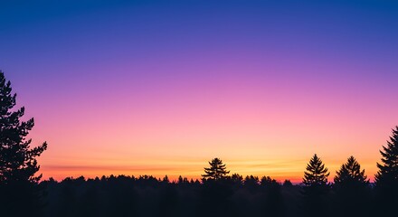 Vibrant sunset over silhouetted trees dramatic sky natural landscape