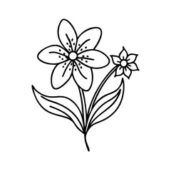 Obraz premium wildflower line art style vector illustration