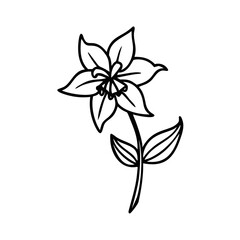 Obraz premium wildflower line art style vector illustration