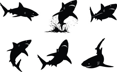 Shark silhouette collection, dangerous predator illustration, ocean wildlife design, marine animal graphic, underwater creature art, sea predator vector, aquatic life concept