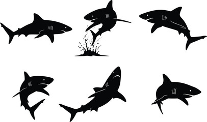 Shark silhouette collection, dangerous ocean predator illustration, marine wildlife vector, underwater sea creature art, aquatic animal design, nature graphic, shark attack concept