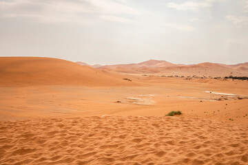 Sossusvlei in Namibia is a desert wonder, famous for its giant red dunes, glowing at sunrise and sunset
