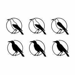 Naklejka premium Silhouettes of crow birds in circles, a vector illustration