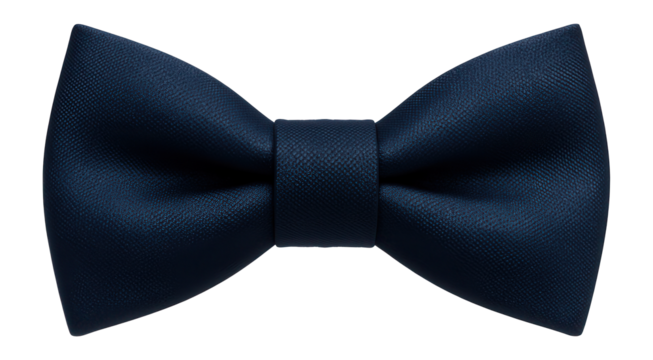 Dark blue bow tie on a plain background.