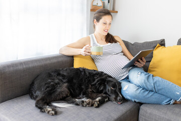 Pregnant woman reading on tablet and drinking coffee with her dog in living room. Happy expectant mother resting on sofa at home. Concept of expectant mother enjoying her pregnancy.