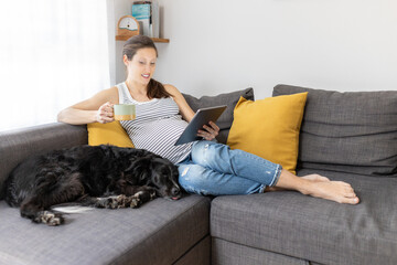 Pregnant woman sitting on couch and reading on tablet drinking coffee with her dog in living room. Happy expectant mother resting on sofa at home. Concept of expectant mother enjoying her pregnancy.