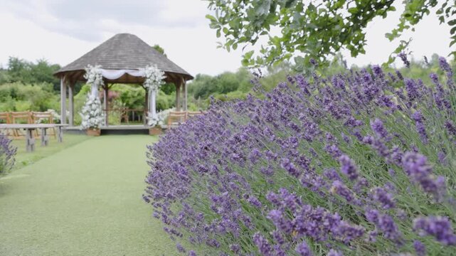 lavender field bumblebees wedding