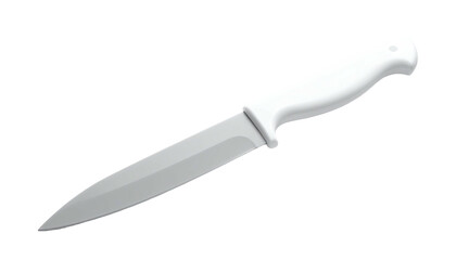 A white-handled knife with a silver blade on a stark black background