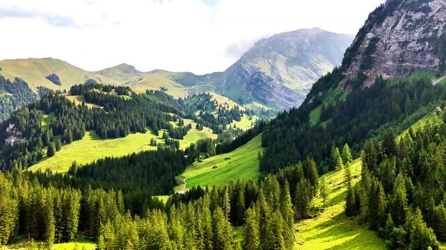 Drone establishing shot of a beautiful mountain valley in Lenk, Switzerland, featuring lush green meadows and dense pine tree forests under a bright sky, drone establishing shot