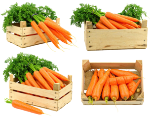 Fresh carrots in wooden crates (1)