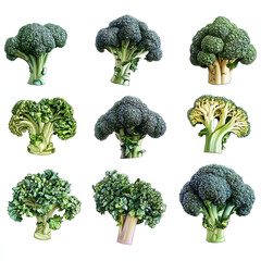 Nine fresh broccoli florets arranged in a grid against a white background