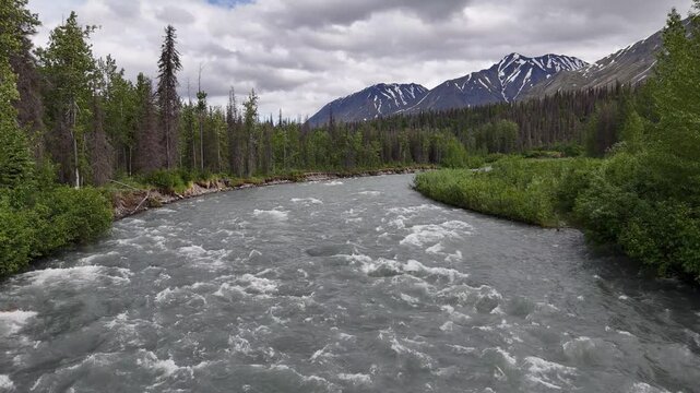 Static Shot of River Flowing beneath Mountains, lots of spruce trees, East Fork Chulitna River, Talkeetna Mountains in Alaska, Late Afternoon in June
