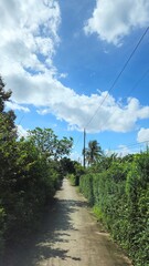 Rural concrete road surrounded by lush tropical trees under a partly cloudy sky in the Mekong Delta, Vietnam.