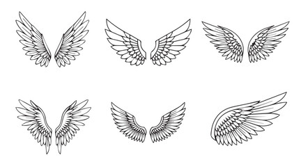 set of wings vector illustration