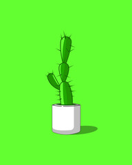Flat vector of cactus plant on green background.