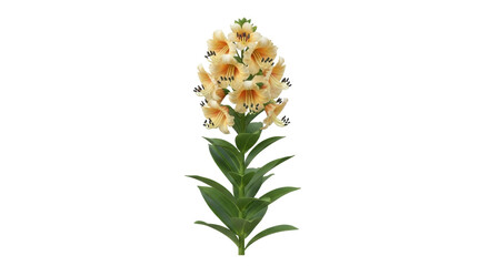 Isolated Cream Yellow Lily Plant with Green Leaves, Perfect for Springtime Décor