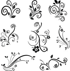 Vector black floral design elements set, including vintage flower, leaf, and scroll ornaments for elegant nature art, frame, and border silhouette illustration