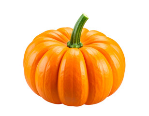  Autumn Pumpkin Vegetable Icon &ndash; Seasonal Food and Decoration PNG