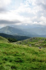 Fototapeta premium 愛媛県久万高原 曇天の四国カルスト 