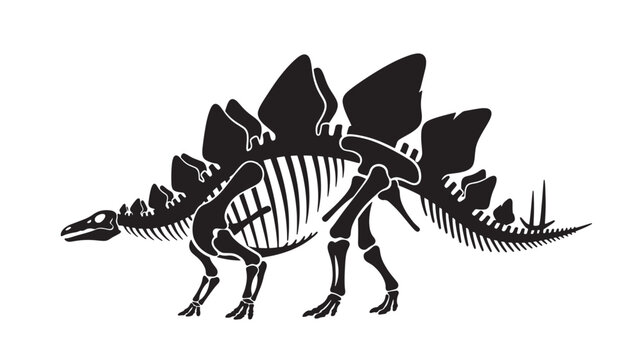 Stegosaurus dinosaur skeleton illustration prehistoric animal vector silhouette isolated on white background