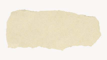 Torn paper scrap with copy space