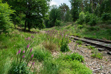 Der eiserne Rhein, Kreis Heinsberg