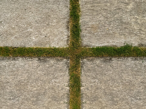 Close up of grey paving stone in with grass belt and grouts. Suitable for outdoor landscape garden for flooring on the footpath. Seamless background texture.