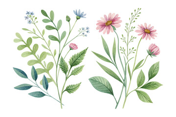 Watercolor Green Botanical Leaves with Wildflowers isolated on white background