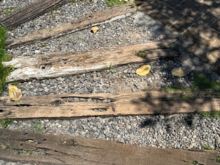 Close up of grey pebbles and dried wood plank on an outdoor garden footpath. Seamless background texture.