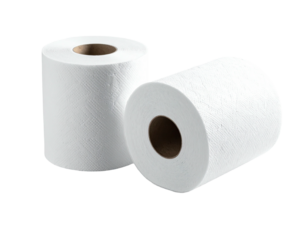 Two rolls of white toilet paper (1)