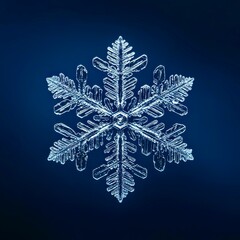 Macro snowflake icy crystal frozen closeup winter detail