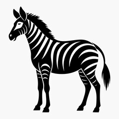 Fototapeta premium Vector illustration of a stylized black and white graphic illustration of a zebra in profile, isolated on a clean, highlighting its iconic stripes