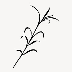 Plant silhouette, small leaves branch illustration