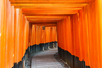 Torii gates of Fushimi Inari Shrine in Kyoto, Japan